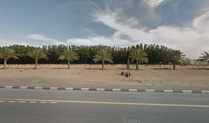 هيليا فيلدز - دبي - +971 6 526 4210