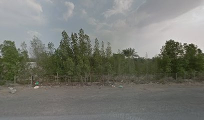 شركة حيفا للخدمات الصناعية ذ - United Arab Emirates|Industrial Area - Thouban - Fujairah|Plot No 162|A Thoban