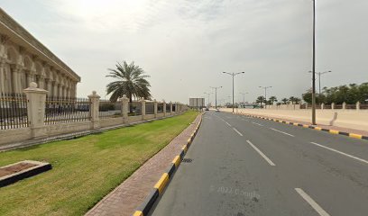 فيجا لينكس انترناشيونال للتجارة ذ - دبي - +971 55 153 2855